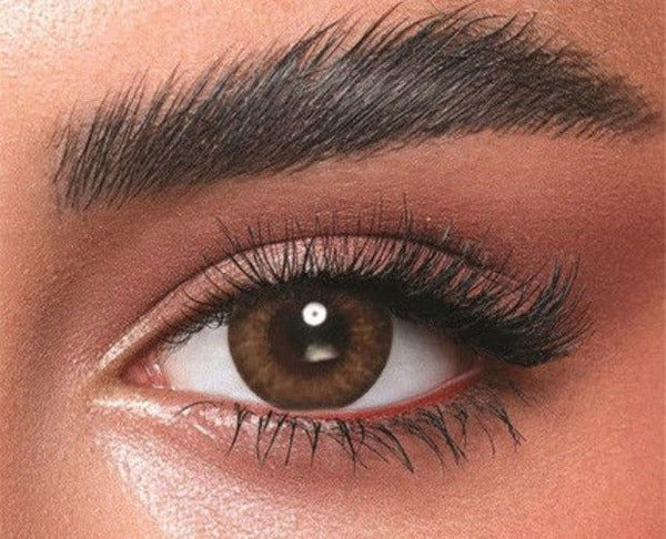 BELLA DAILY ALMOND BROWN - TWO-OPTICS - 