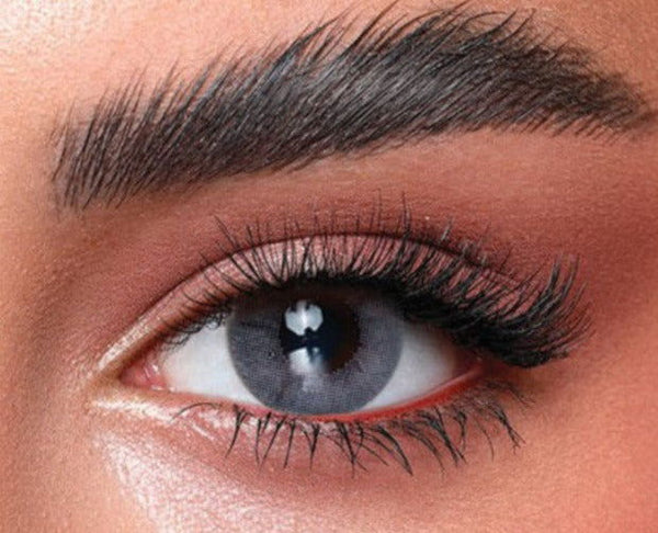 BELLA DAILY BLUISH GRAY - TWO-OPTICS - 