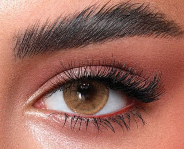 BELLA DAILY HAZEL BEIGE - TWO-OPTICS - 