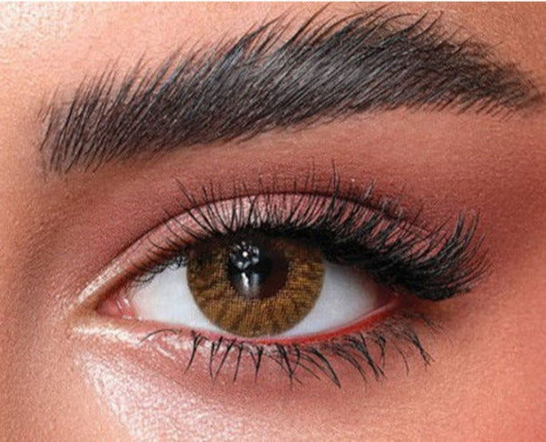 BELLA DAILY RADIANT HAZELNUT - TWO-OPTICS - 