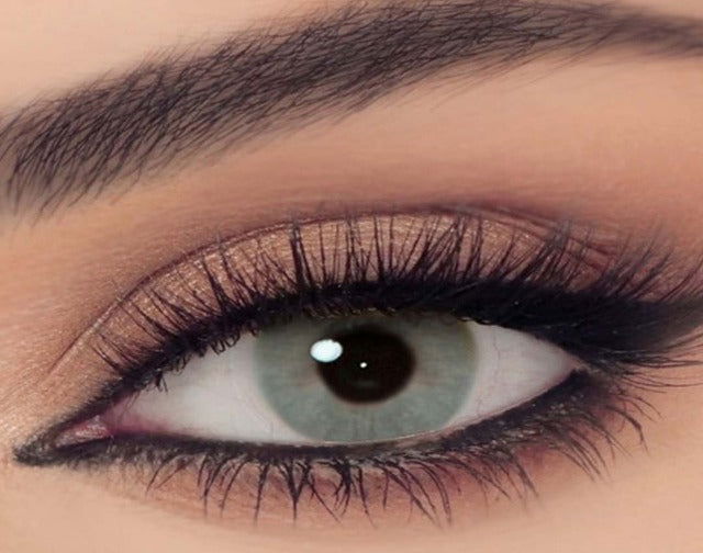 CELENA 1Day - BASIL GREY - TWO-OPTICS - 