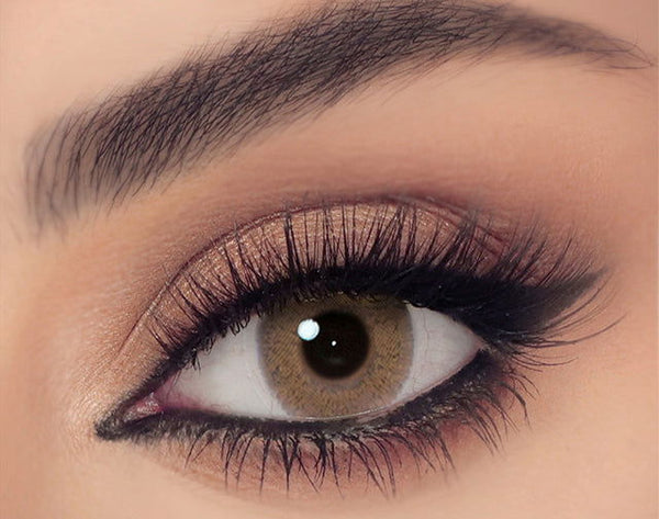 CELENA SHADED - WALNUT BROWN - TWO-OPTICS - 